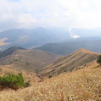 やったー！こんなに景色よかったのね😆