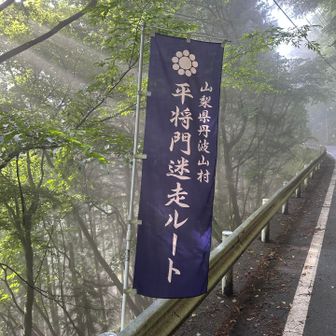 平将門にゆかりがある道らしい。しかしなぜ敗走とかではなくあえて迷走にしたのか、、
