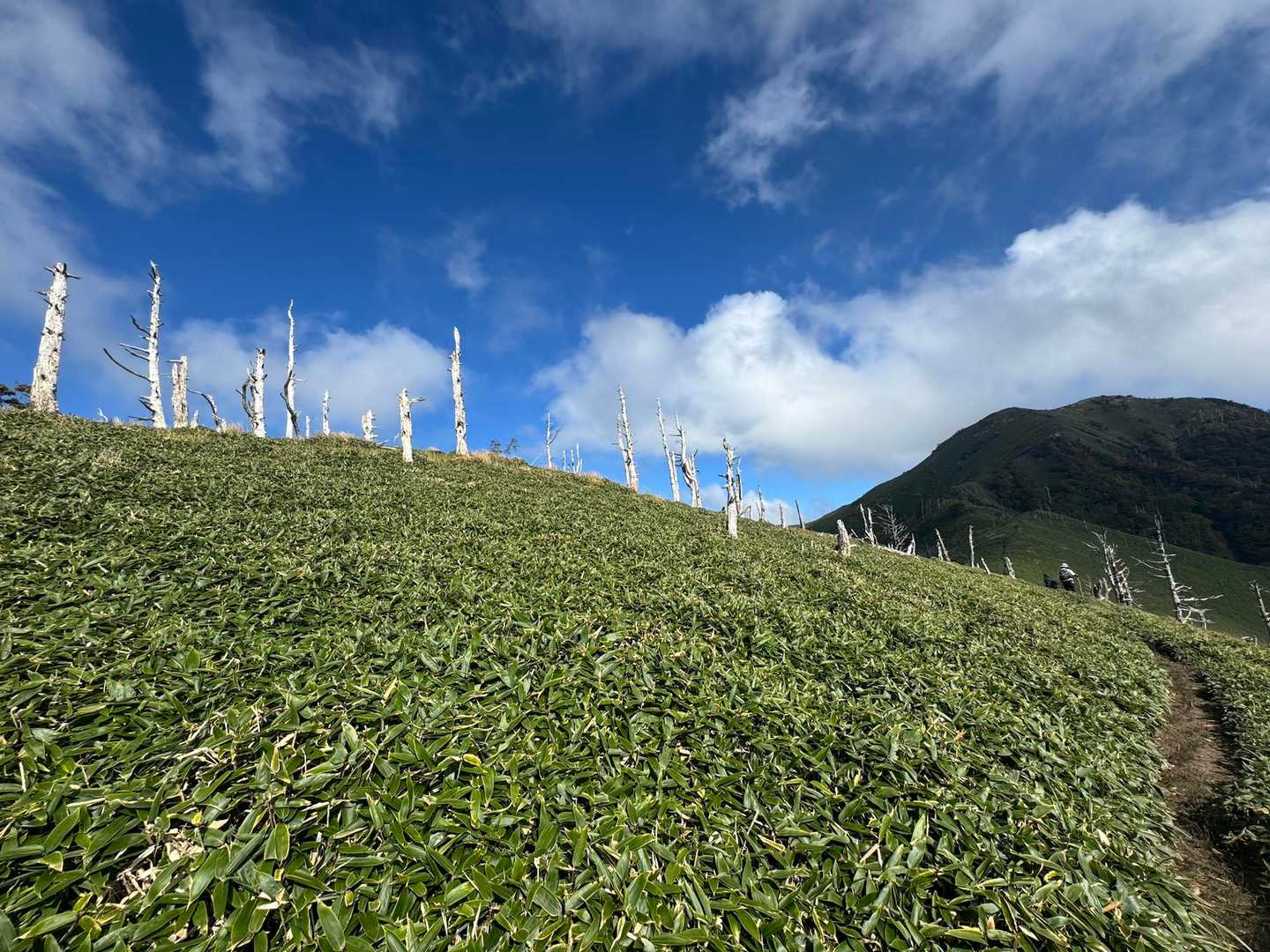 次郎笈登山口-次郎笈 周回コースの写真