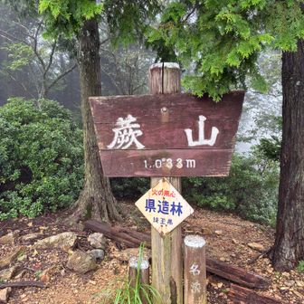 登頂！