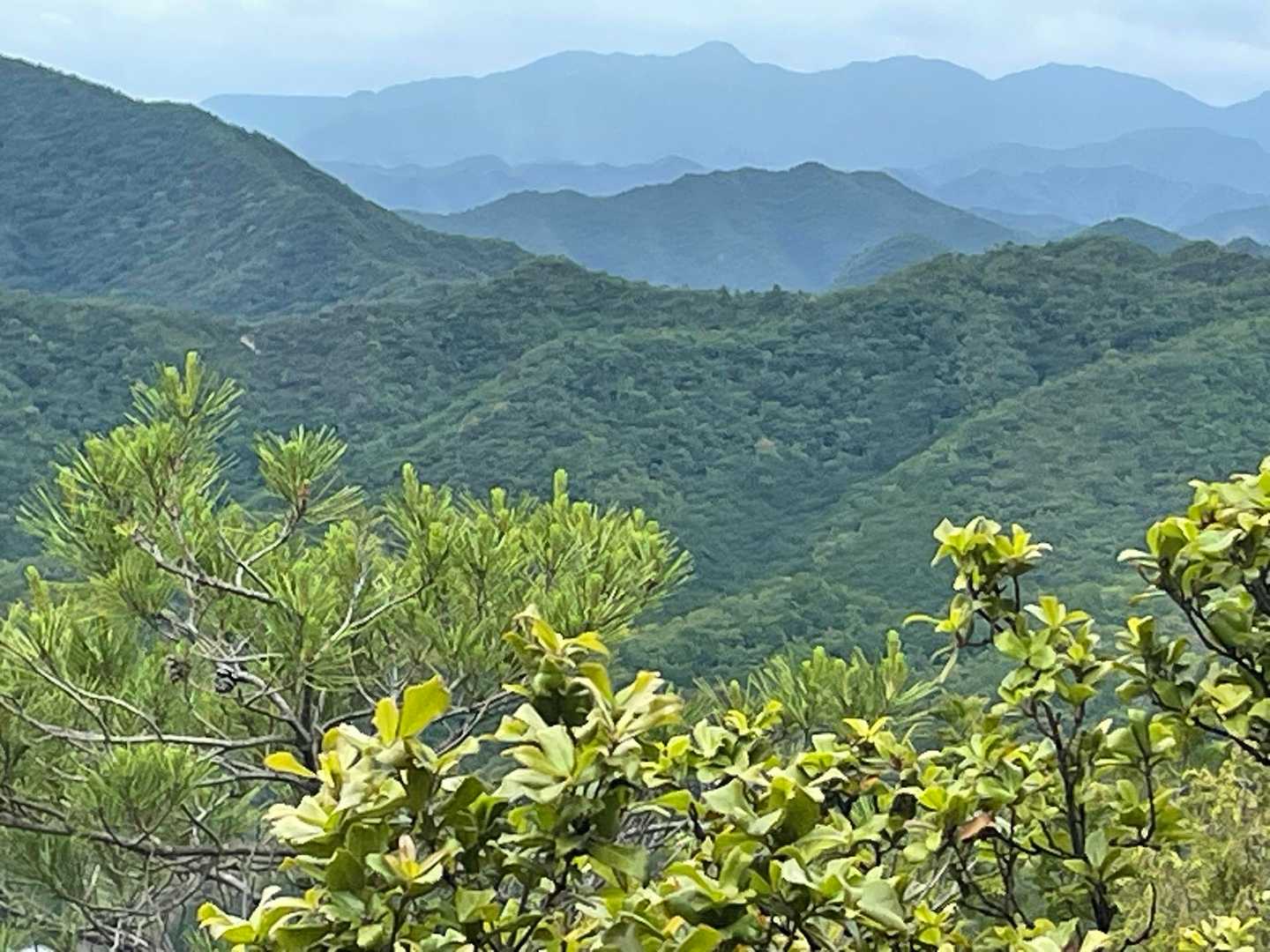 西光寺山登山口-西光寺山 往復コースの写真