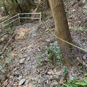 特に危なくない山道ですね💕︎
