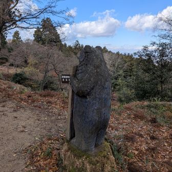 くまちゃんのおしり