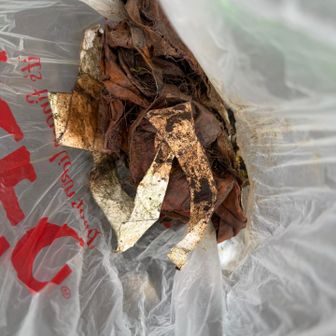 山道で拾ったゴミ
落ちてるのを引っ張ったら、埋められていた部分がズルズルと😰
