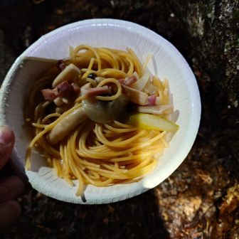ありがたいことにパスタもいただきました。
他にもマスカットをいただき、いただきっぷりの激しい夜でした。