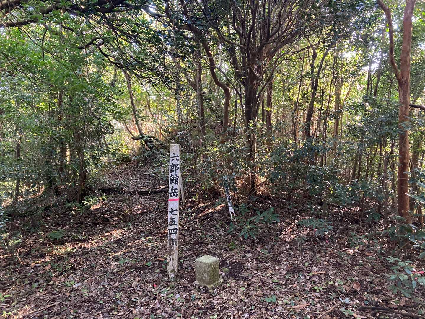 六郎館岳登頂🙌
三等三角点にタッチして帰りま～す😙