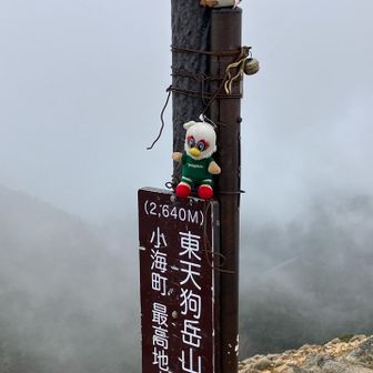 「雷鳥は頂を目指す」‼️