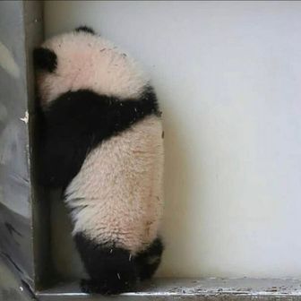 すぎやま