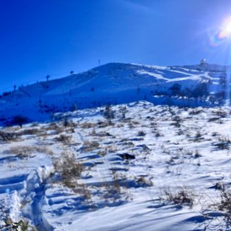 歩きやすいなだらかな丘陵って感じ