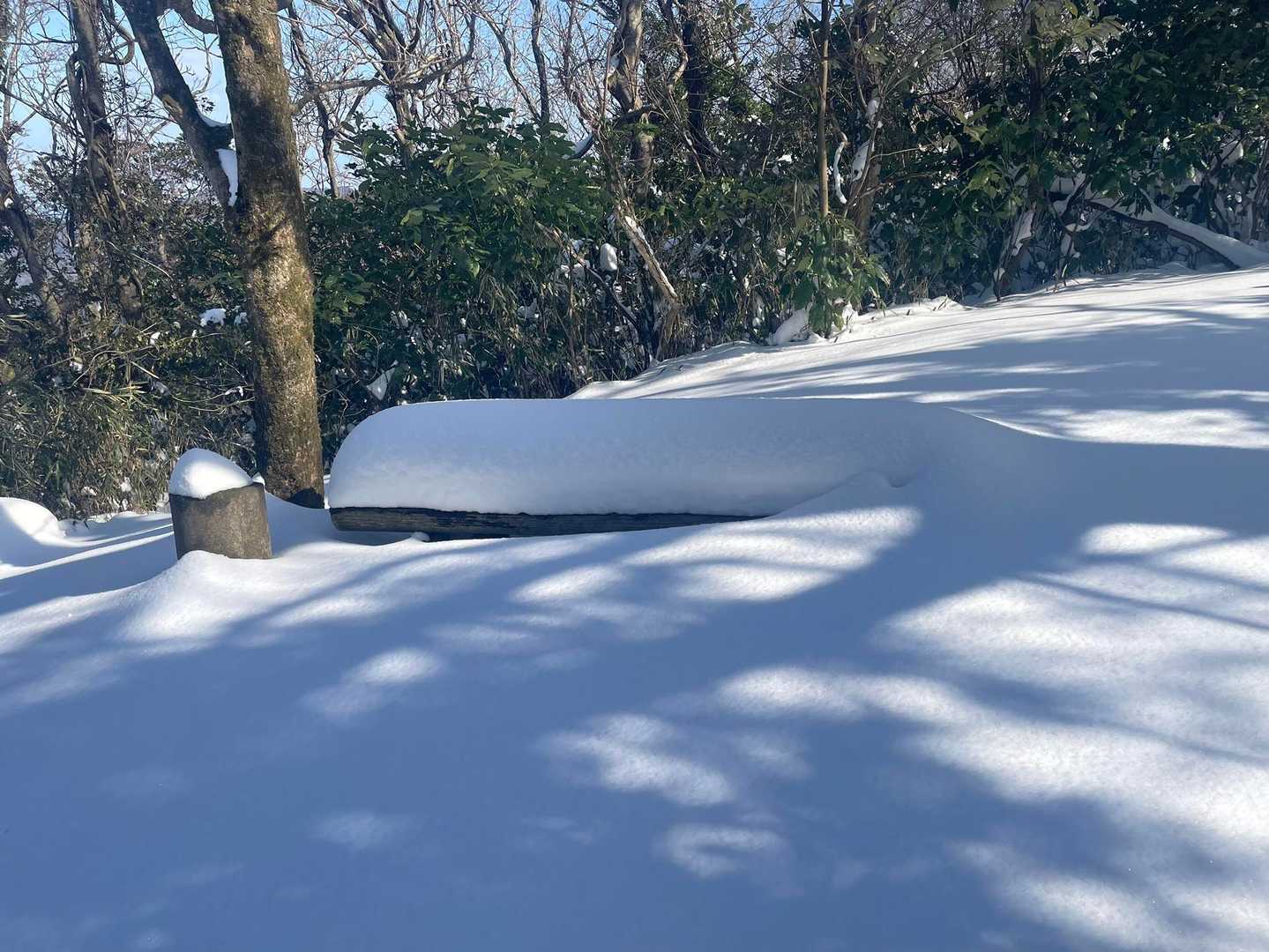 大平山 往復コースの写真