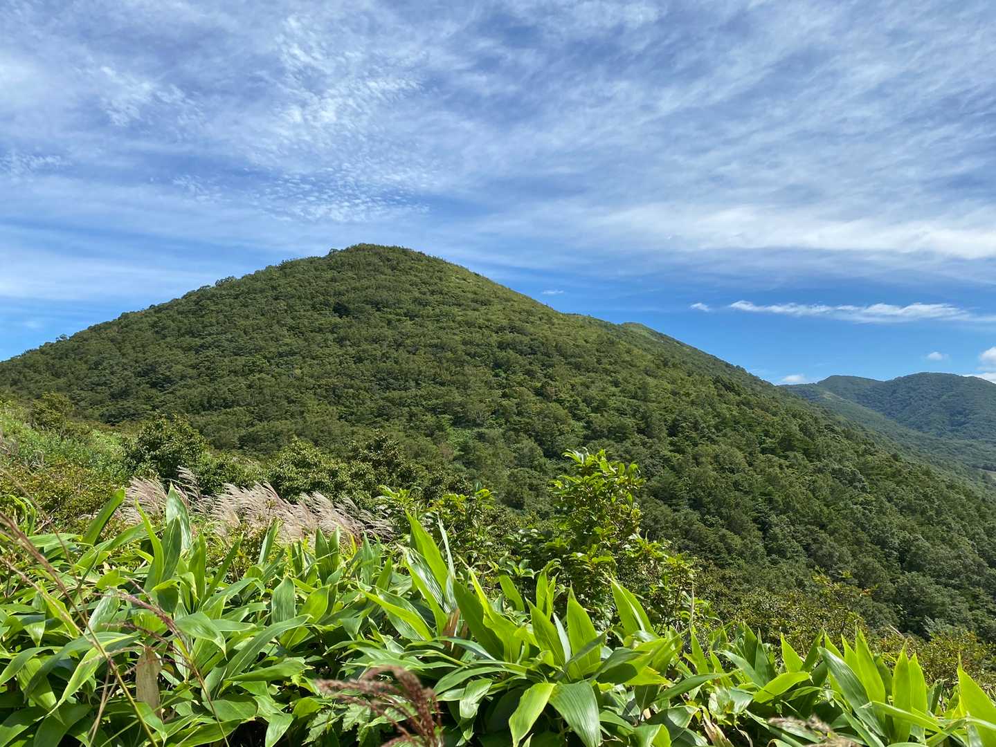あれは三曲山それとも三方沢山❓
帰ってきたら分からなくなったよ〜⁉️