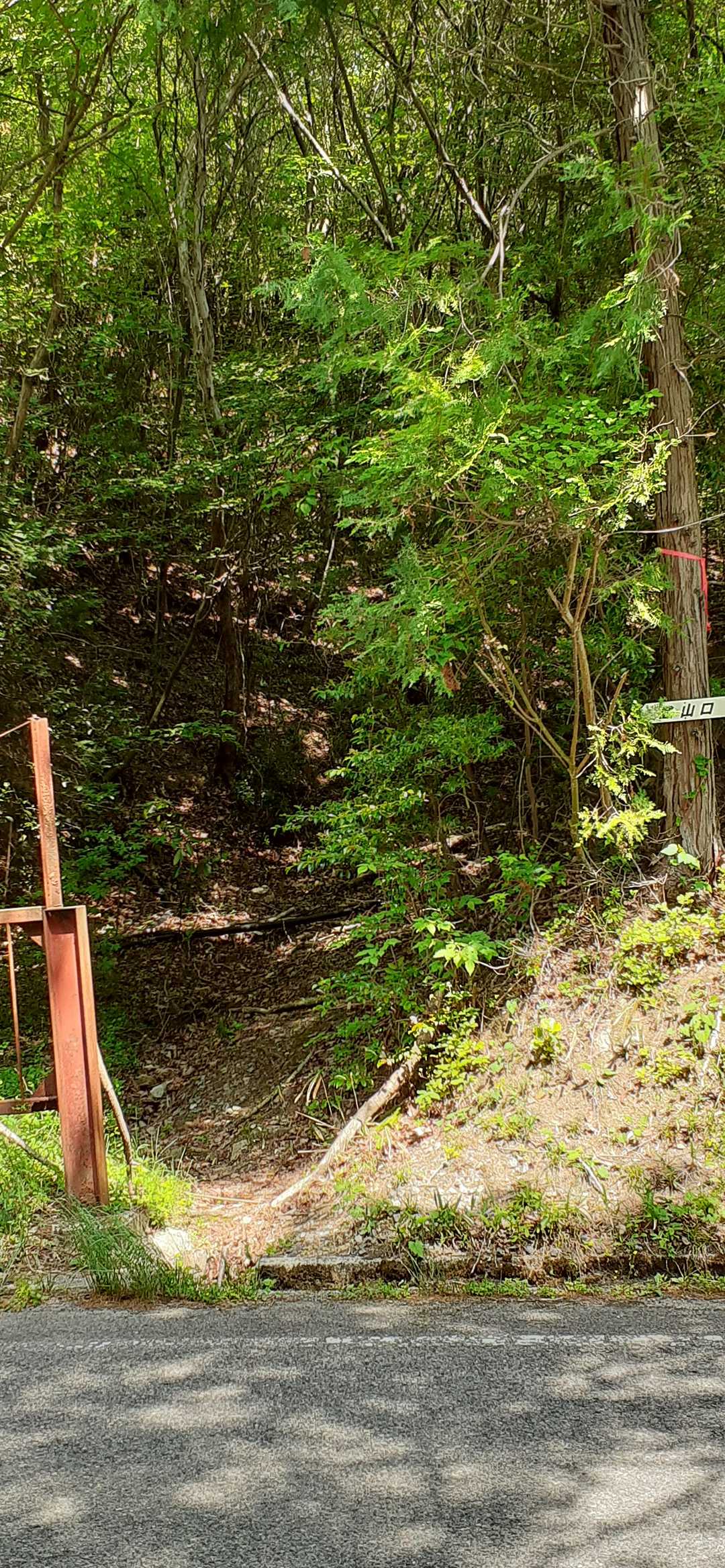 もう一つの登山口(前に駐車スペースあり)
以前に二度ここから登ってBコースに合流します