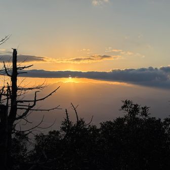 作業してるとすっかり夕方🌆