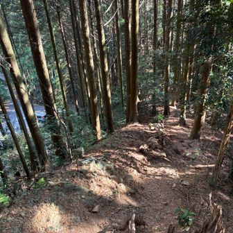 早々に駐車場が目前まで