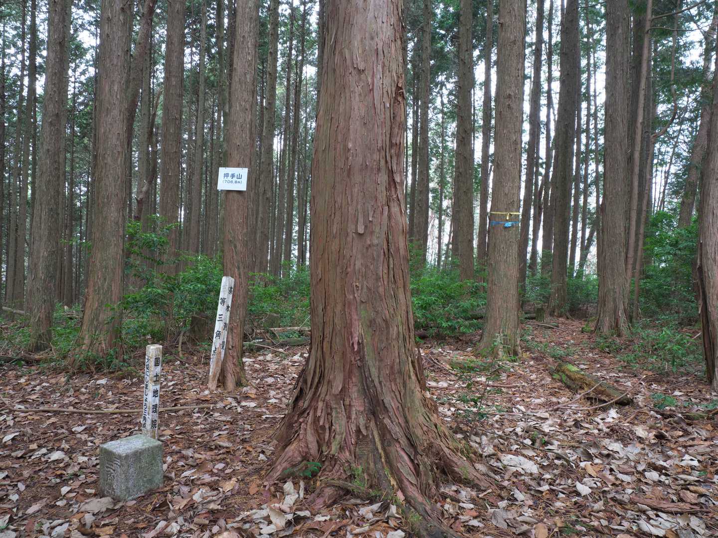 押手山山頂到着！
木々がたくさん立ち並んでますがその間が割と広いのでそのスペースでお昼休憩(^^)