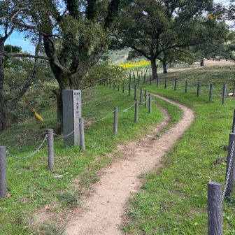 吹上峠登山口からスタートします。😄