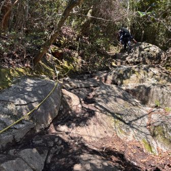 😅なかなか山頂につきません。