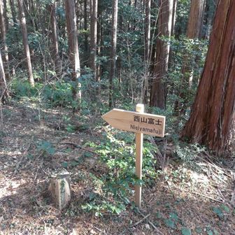 西山富士に行ってみます