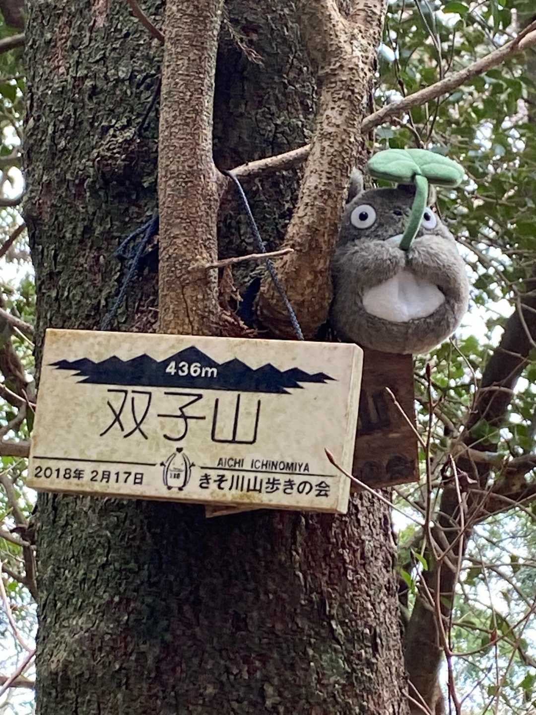 双子山 往復コースの写真