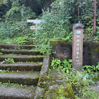 登山口