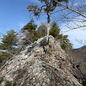 超〜とんがりの背  足元注意⚠️
