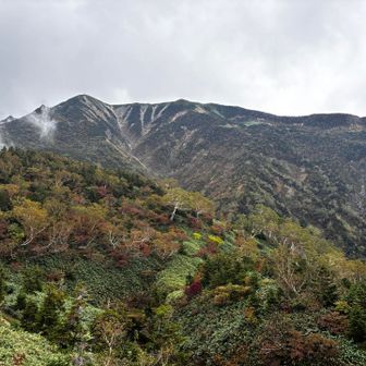 チブリ尾根避難小屋から別山を振り返る

避難小屋に着いた頃からポツポツと雨が降り出す
