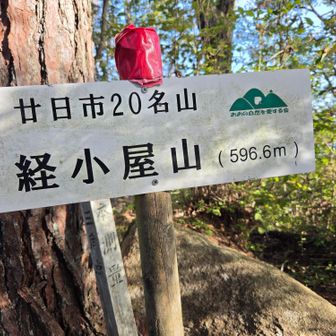 山頂
弥山より高いです