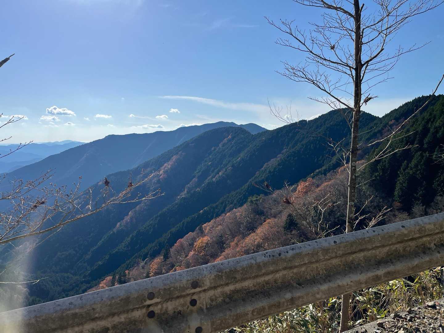 帰りの林道から無双山を望む。