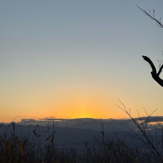 日の出の時間は過ぎたのに
雲が邪魔しています。
