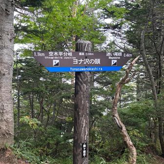 ピーク8️⃣ヨナ沢の頭