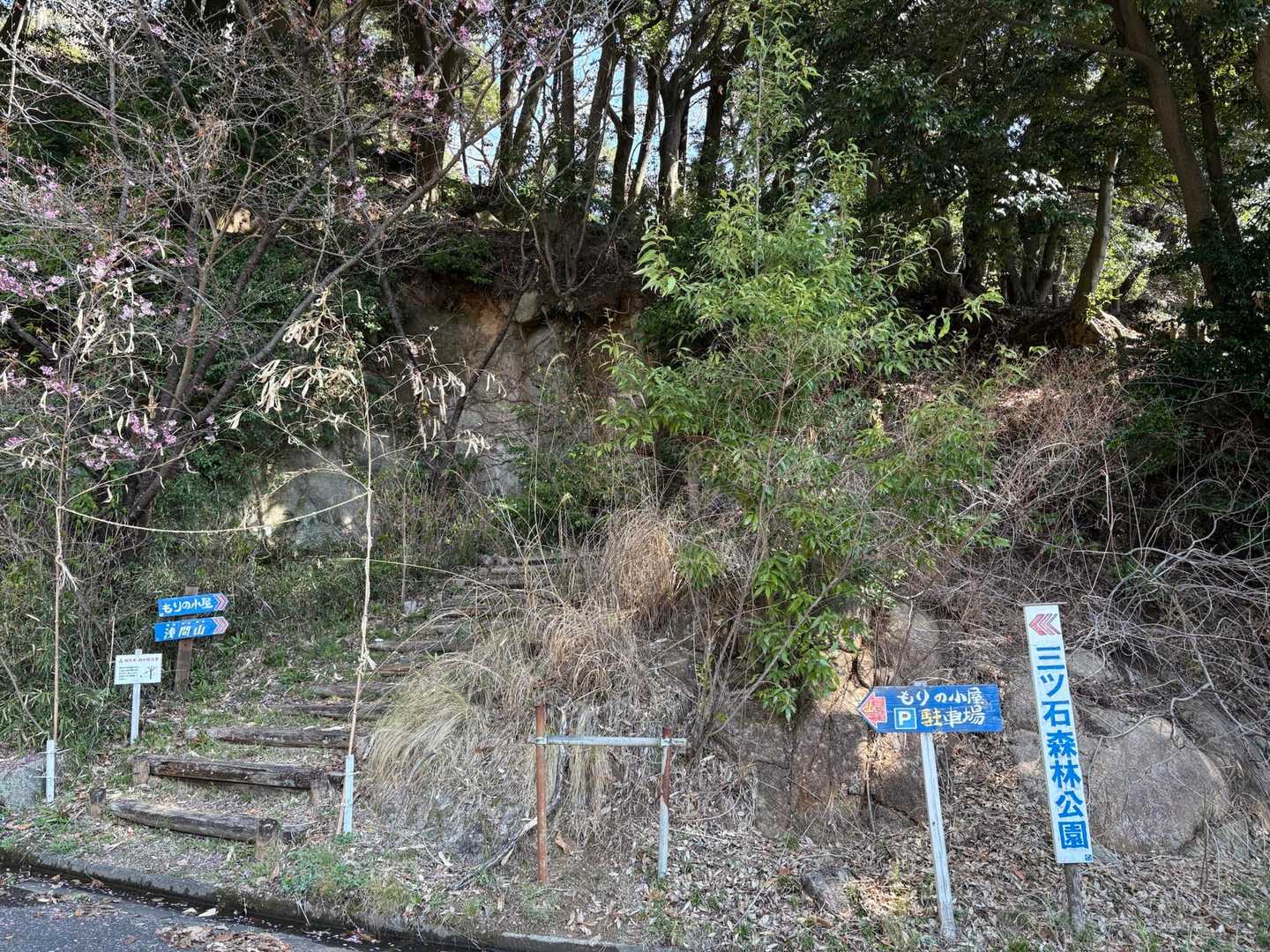 三ツ石森林公園の階段はいつ来ても嫌いです🤣