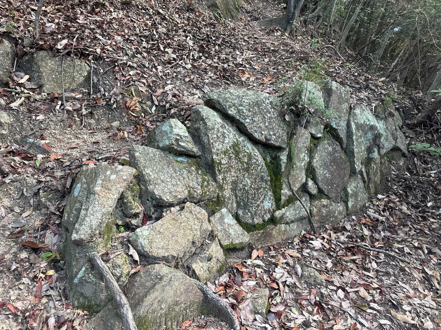 🏯山城の跡でしょうか🤔