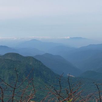中央の少し左が荒島岳。右奥が銀杏峯、部子山方面。
