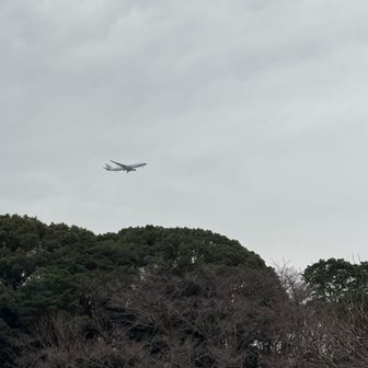 大好き✈️
強風🌬️のため、南側からの着陸を見てからの登山スタート