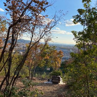 四つ目👀眺望だけの山頂
