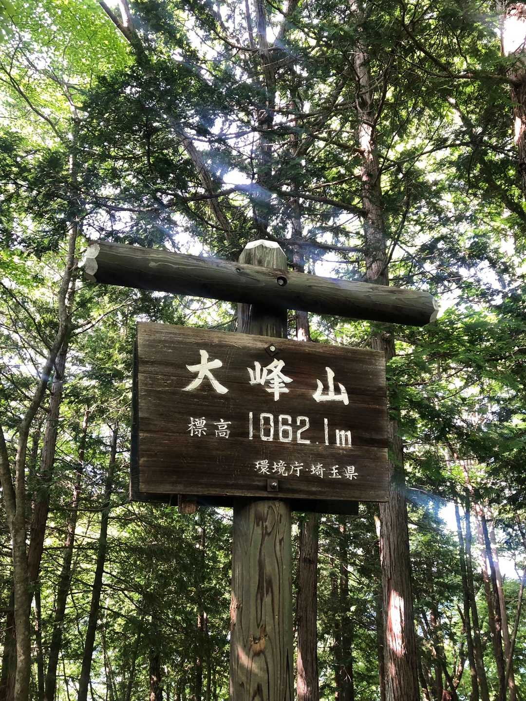 すぐに山頂！
