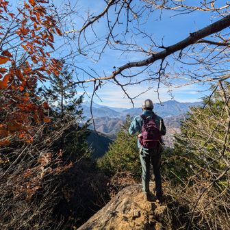 眺めます
先ほどと似たような感じ
