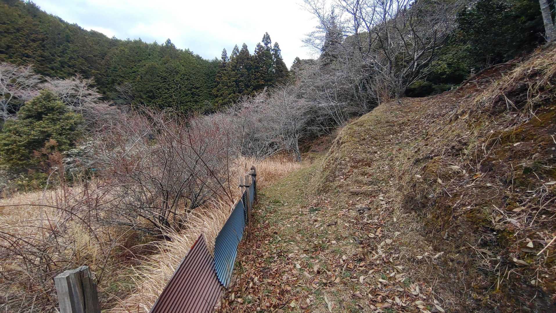 右側（上側）の道を行きます。
左側（下側）を行くと、破線ルートで秋葉山に行きます。でも前回歩いた時は荒れてました。(^_^;)