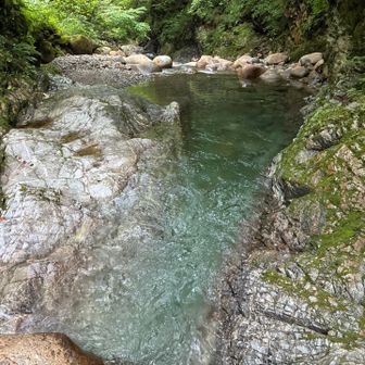 高巻きポイントを見逃し💦
ココ水が腰まできました