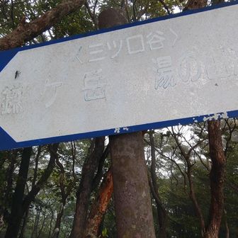 この看板が、三ツ口谷の分岐になります😊　このルート一回歩いてみたかったんです😆　ルートファインディング、ガレ場の歩き方等いい勉強になりました💯