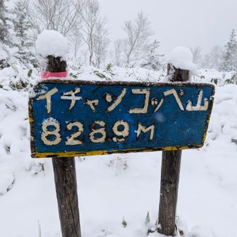 
三角点あったのかな！？捜査を断念(笑)