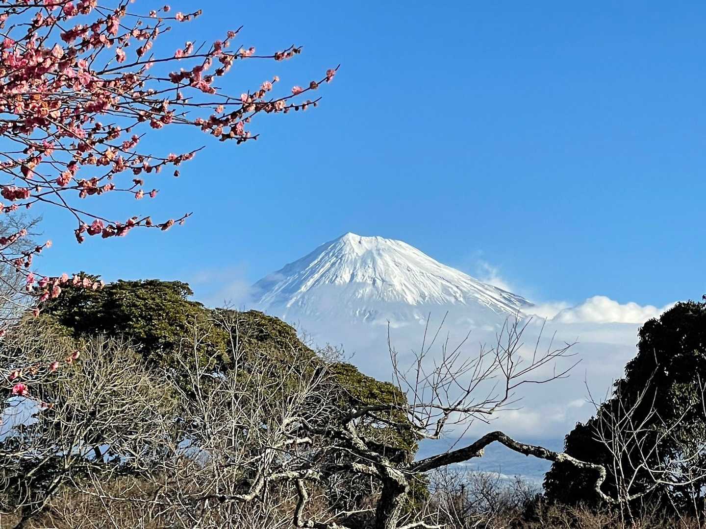 岩本山-明星山 往復コースの写真