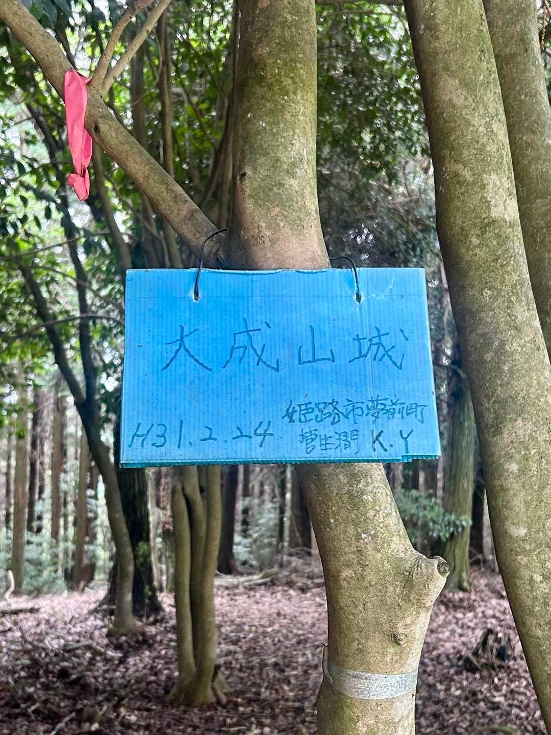 その後は歩きやすい登山道で山頂へ

YAMAPでは「後山」ですが、山城跡名しか見当たりませんでした🏯