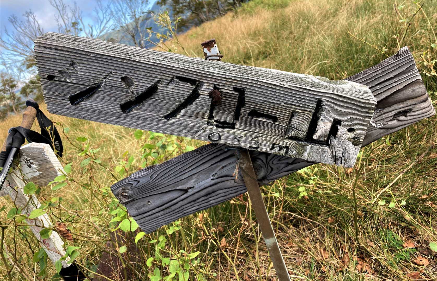 シンタローにしたろか🤣