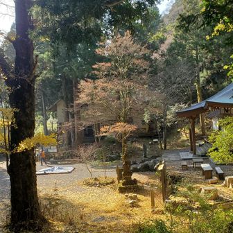 晩秋の金泉寺境内