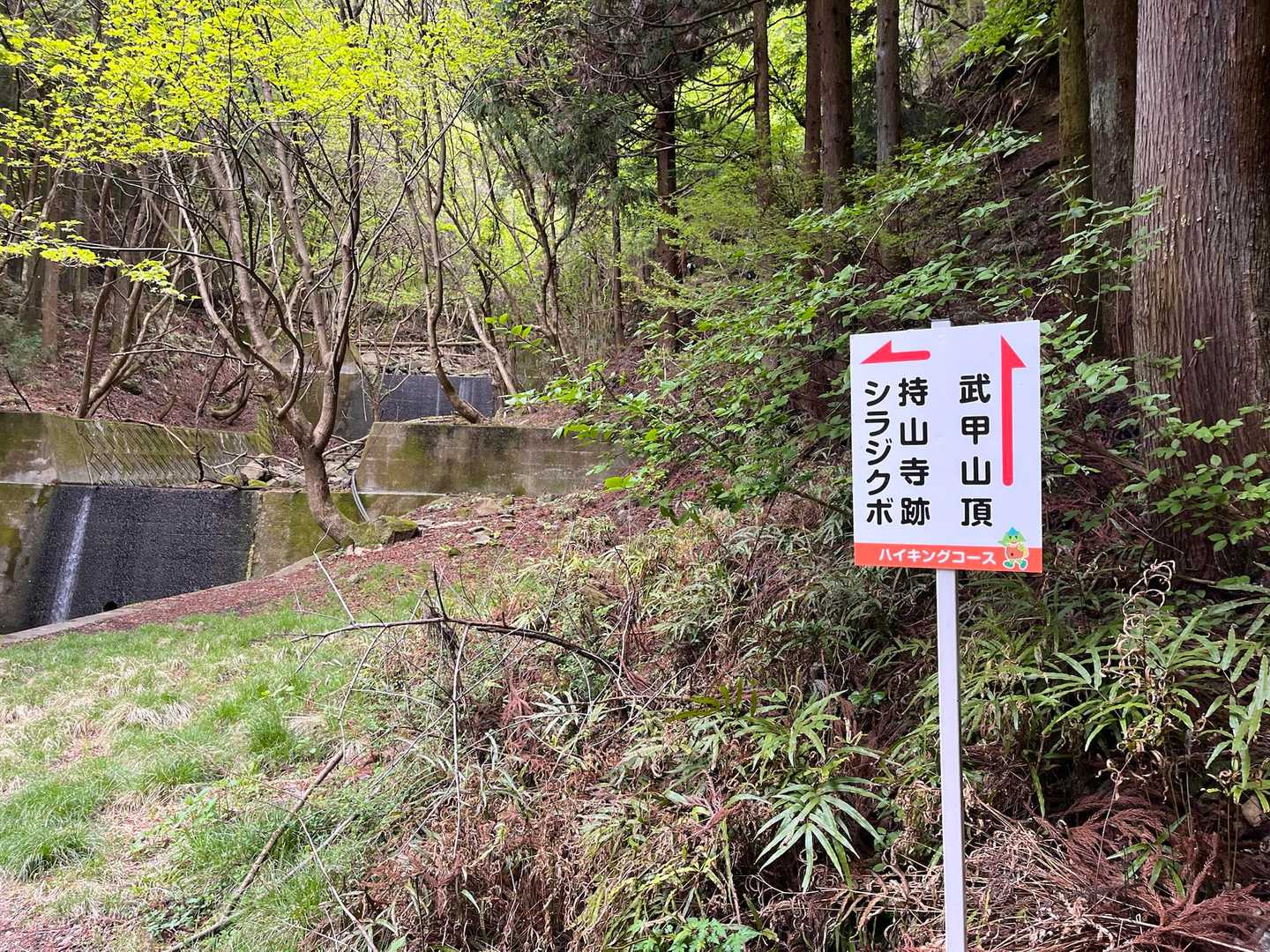 今日は武甲山ではなく❌
アカヤシオ🌸
