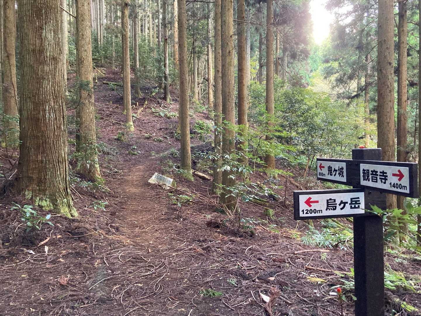 鬼ヶ城 往復コースの写真