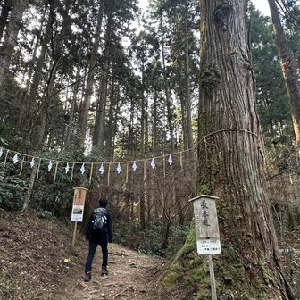 ここからスタート