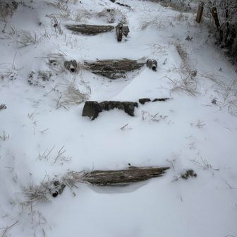 階段が有るので道は分かるがフカフカ雪で隠れた浮石を踏んで歩き辛い。