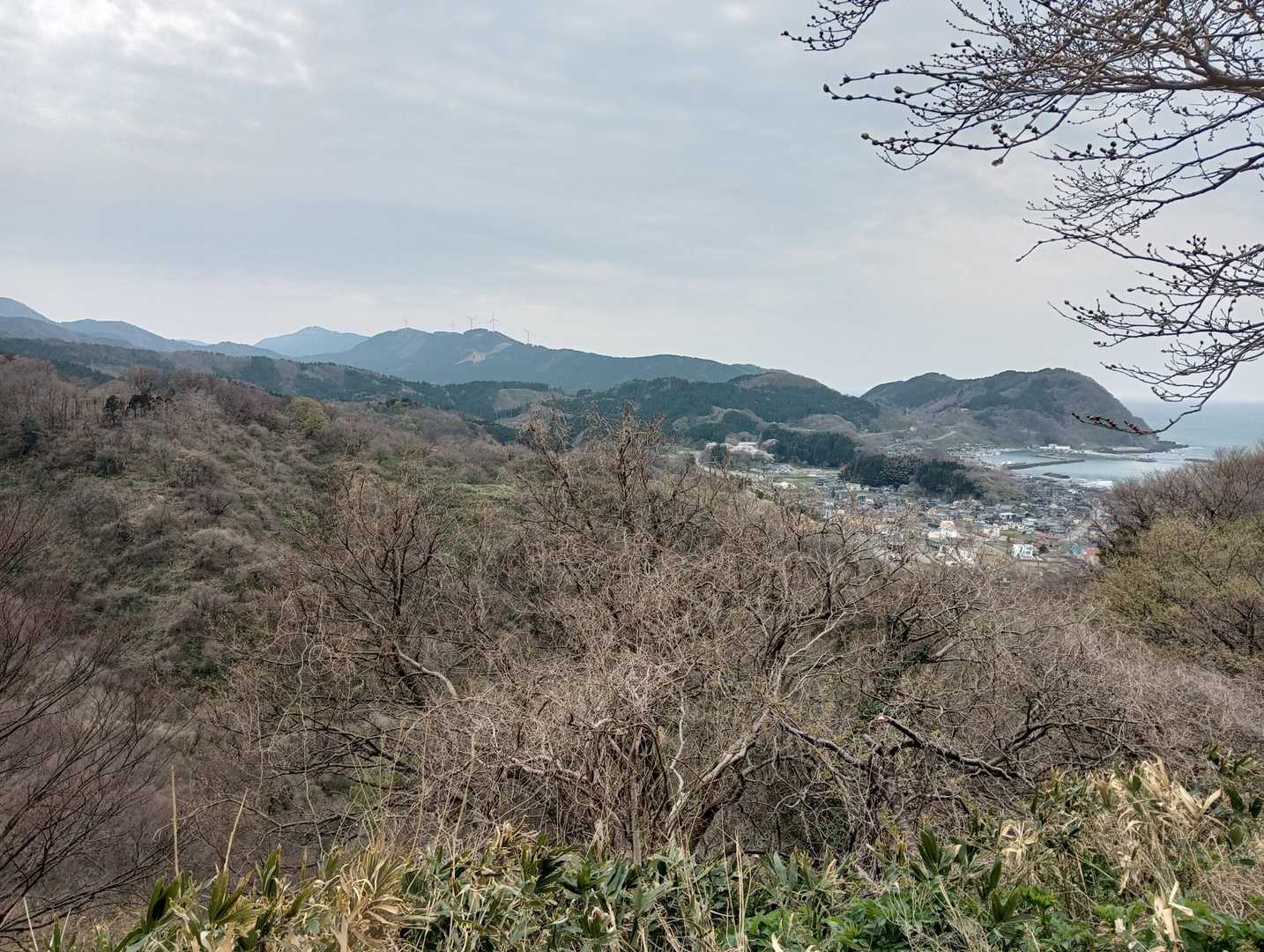 荒倉山登山道入口-荒倉山-池ノ台-荒倉山登り口 周回コースの写真
